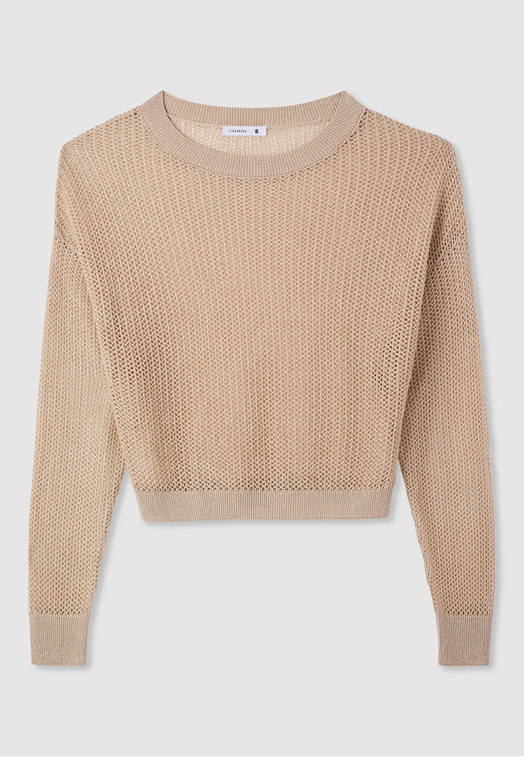 Women's Mesh Shimmer Long Sleeve Crop Top