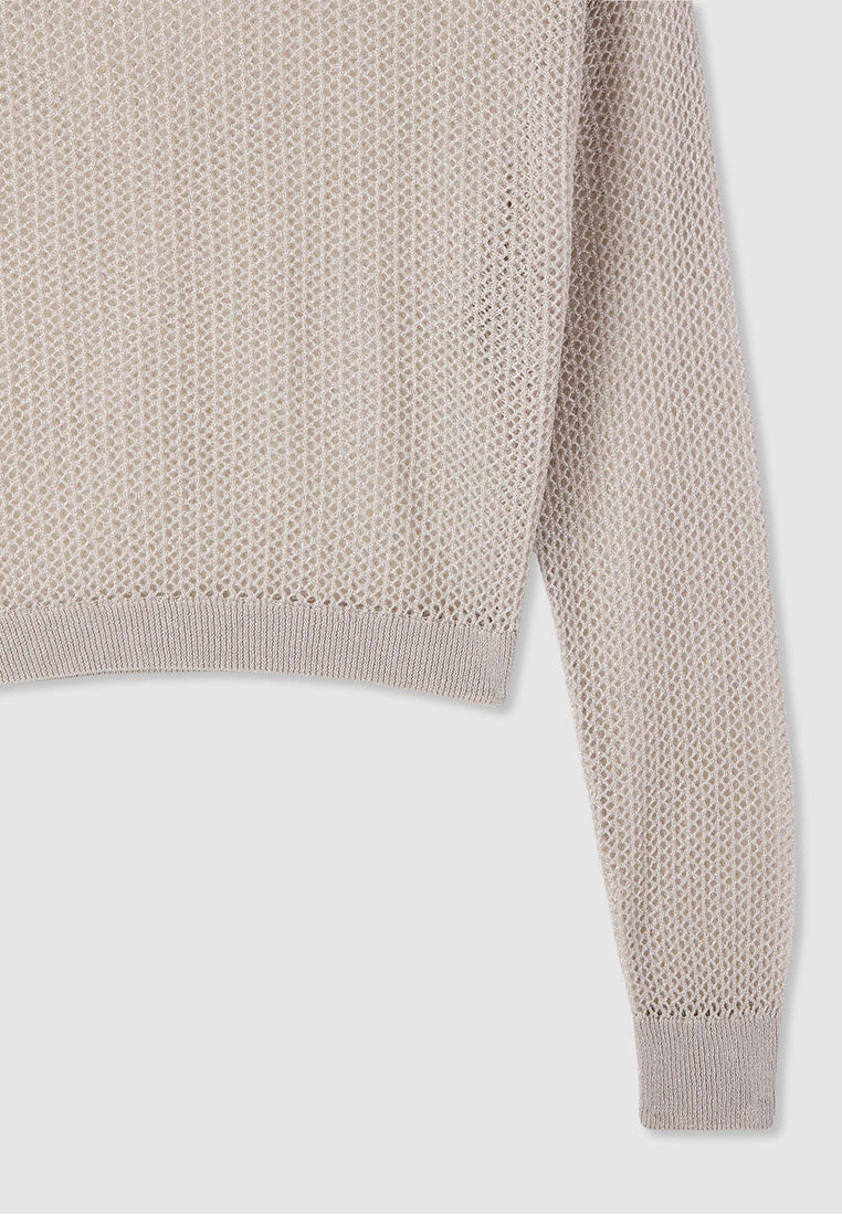 Women's Mesh Shimmer Long Sleeve Crop Top