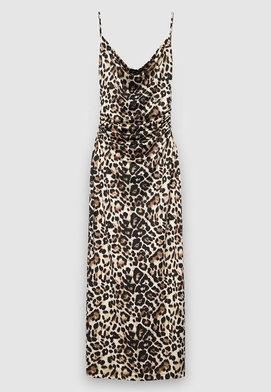 Woman Dress