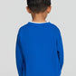 Kids Boys Sweat shirt