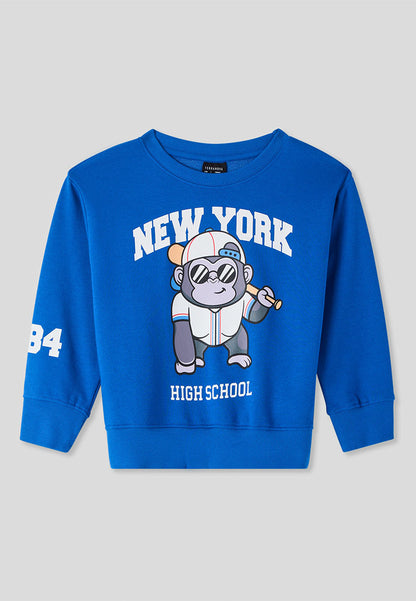 Kids Boys Sweat shirt