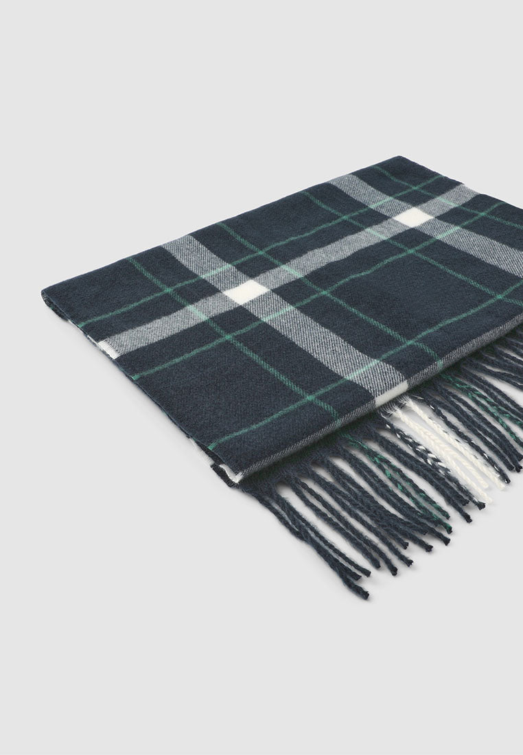 Man Scarves/Foulard
