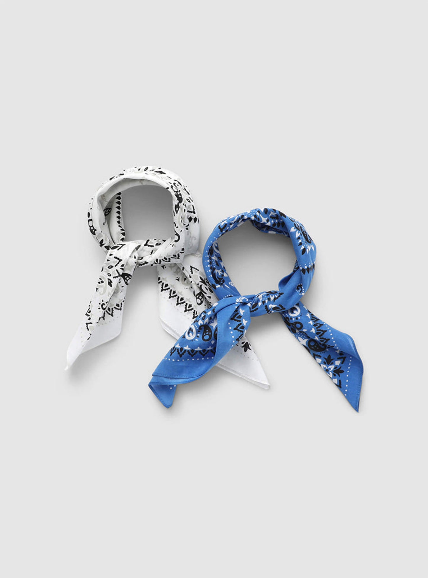 Woman Scarves/Foulard
