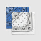 Woman Scarves/Foulard