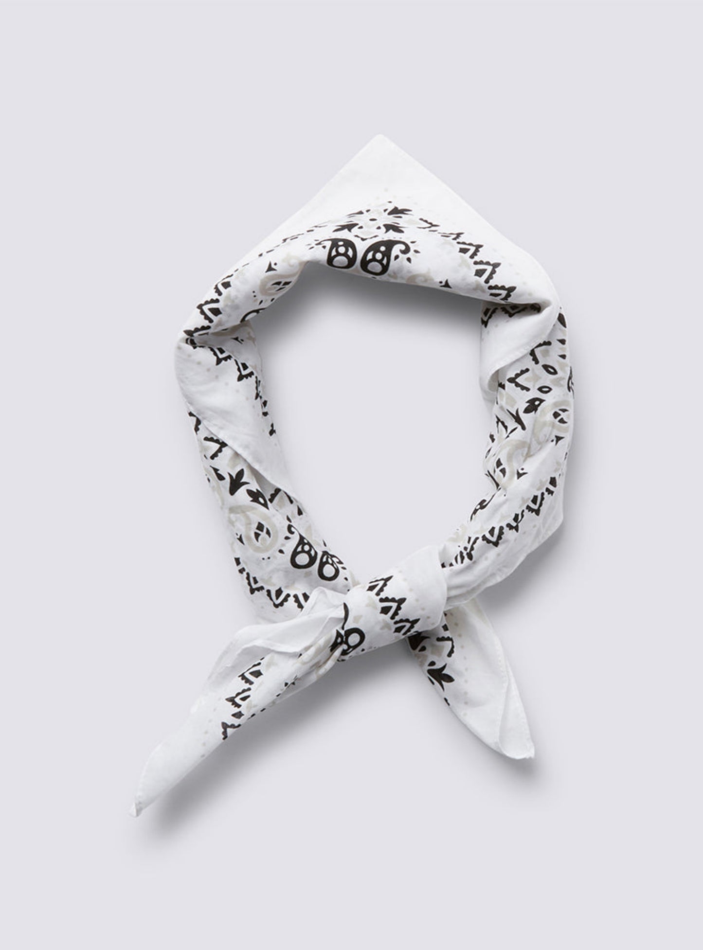 Woman Scarves/Foulard