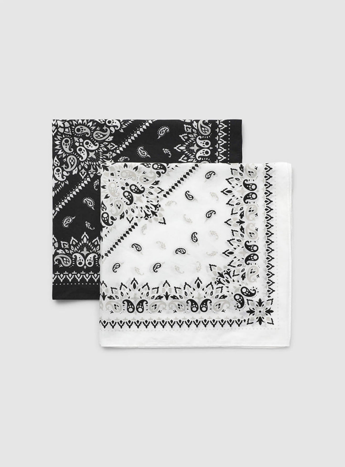 Woman Scarves/Foulard