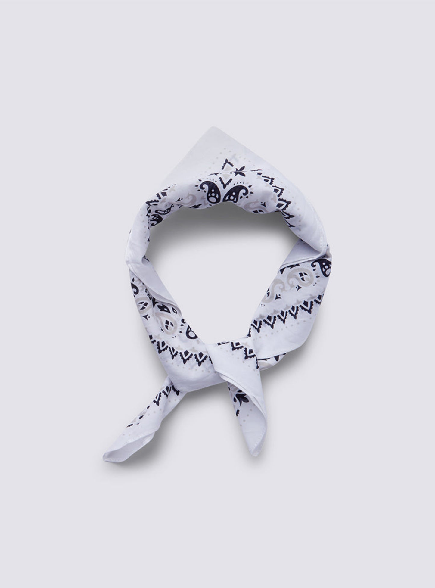 Woman Scarves/Foulard