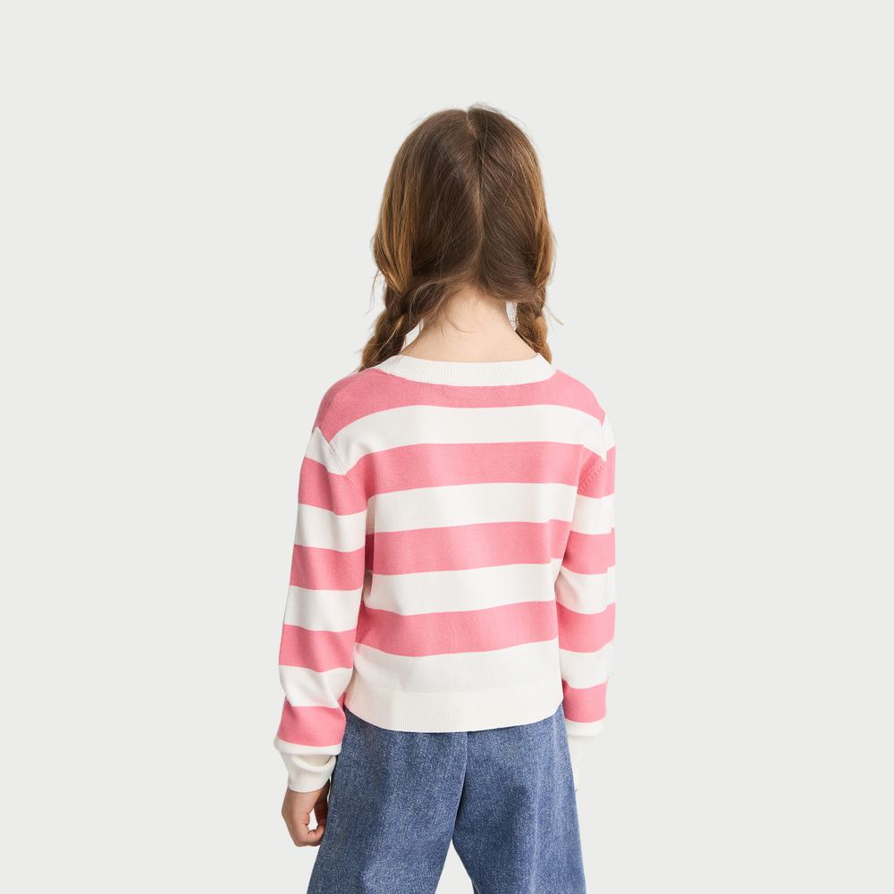 Striped Crew Neck Long Sleeve Top