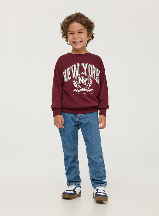 Boys's Sweat shirt