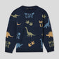 Boys's  Sweater 3-5