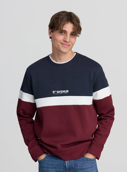 Man Sweat shirt