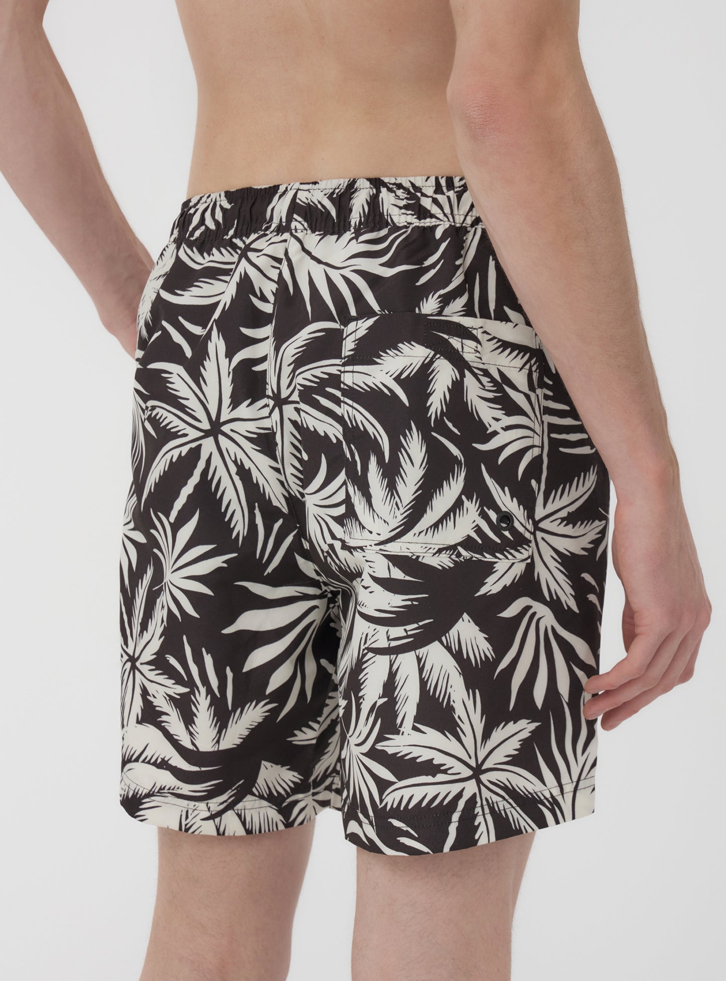 Man Bikini briefs