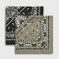 Woman Scarves/Foulard